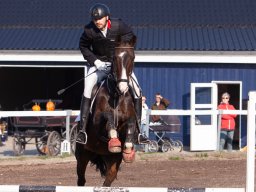 IMG_7055_web